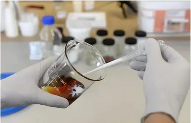 lab